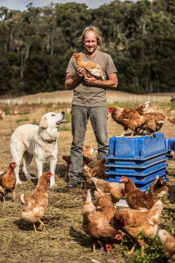 Ian Onley's Maremma Oscar helps guard the flock.