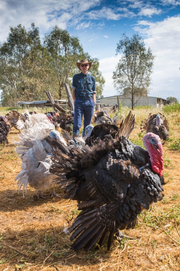 Grampians farmer Daryl Deutscher with his free-range turkeys.