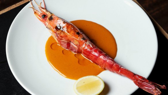'Worth every bit of the hype': Scarlet prawns at Ester.