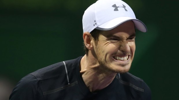 Murray rues a missed point against Berdych.