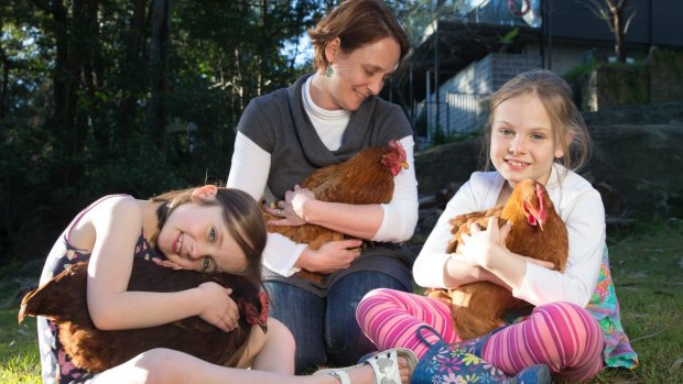 Alexi Boyd and her daughters, Olivia (right) and Abigail, with some of their chickens in their Asquith backyard. 