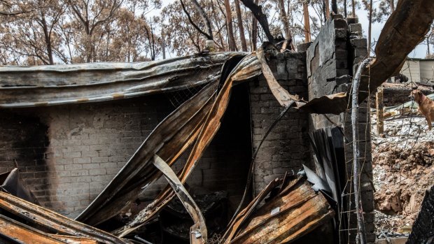 116 homes were lost in the blaze. AAMI is refusing to pay out.