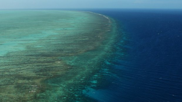 Four beaches have been closed and wildlife have been found covered in oil following the spill.