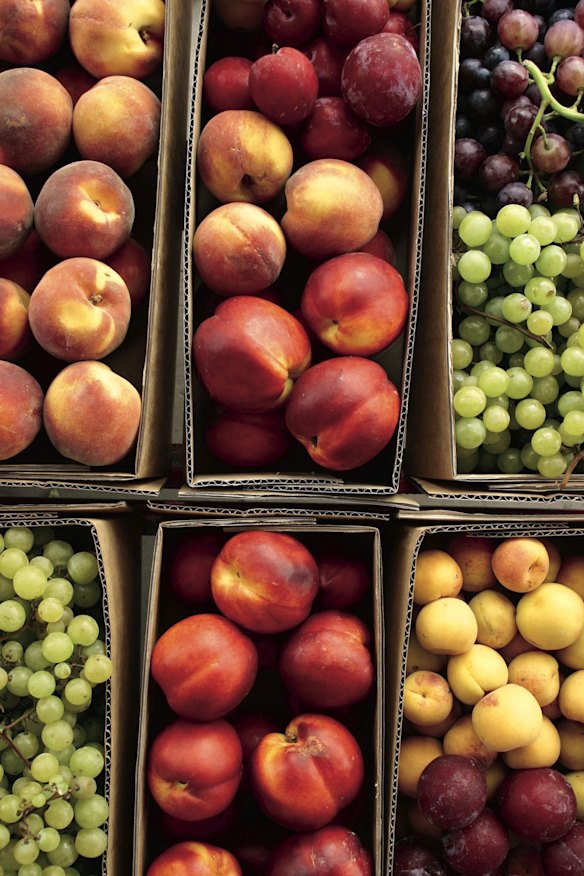 Boxes of roadside fruit for sale near Stanthorpe.