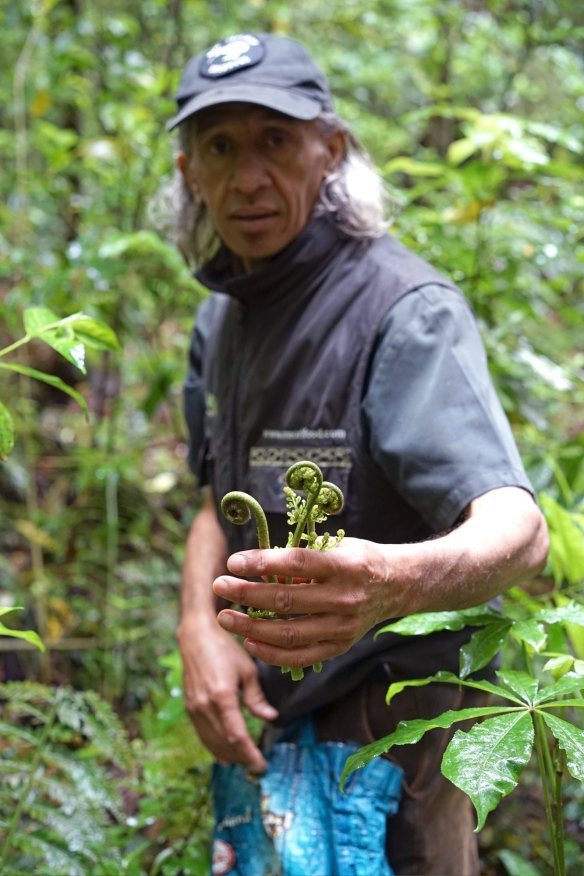 Foraging in New Zealand with Charles Royal.