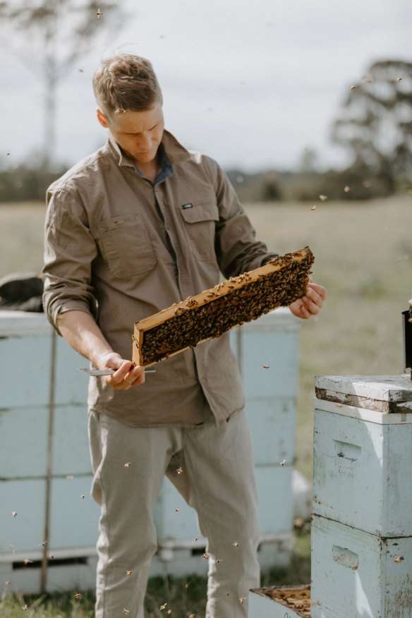 Ben Murphy checks his hives in an East Gippsland clearing.