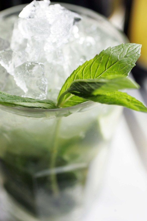 A mint mojito from Indira's book The Edible Balcony. 