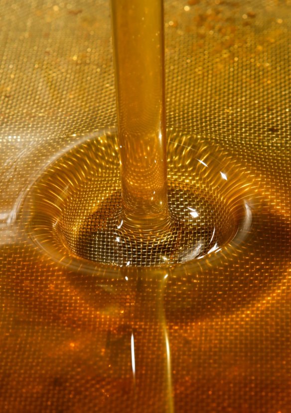 Liquid gold at Beechworth Honey Factory.
