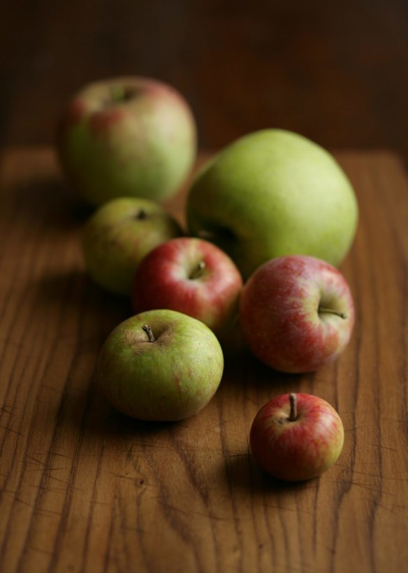 Apples are at their freshest, crunchiest best in autumn.