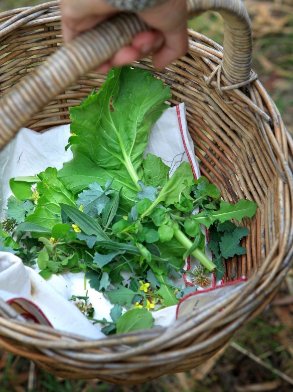 Eat your weeds! Foraging for edible weeds might help encourage kids to eat their greens.