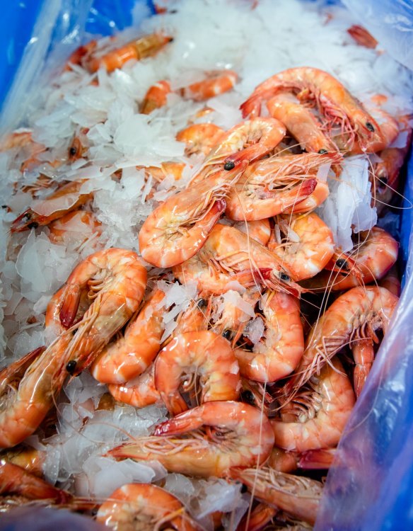 Cooked prawns are top-sellers across both independent retailers and the major supermarkets.