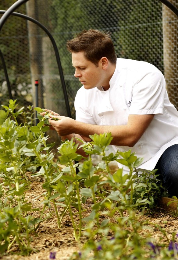 Chef James Viles in the early days of Biota's vegetable garden.