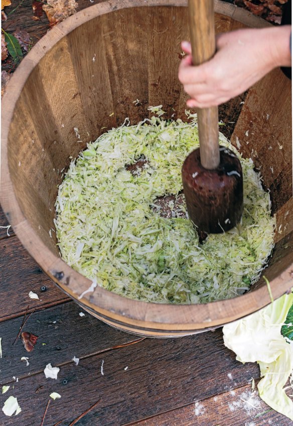 Learn how to make sauerkraut like Sandor Katz.