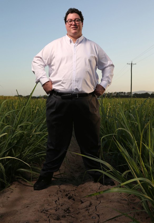 George Christensen in a sugar cane field near Mackay.