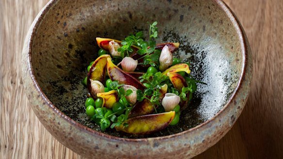 Rare red speckled snow peas and pea tendrils. 