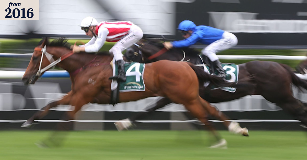 Hawkes Racing guides Kaepernick towards Stradbroke Handicap before ...