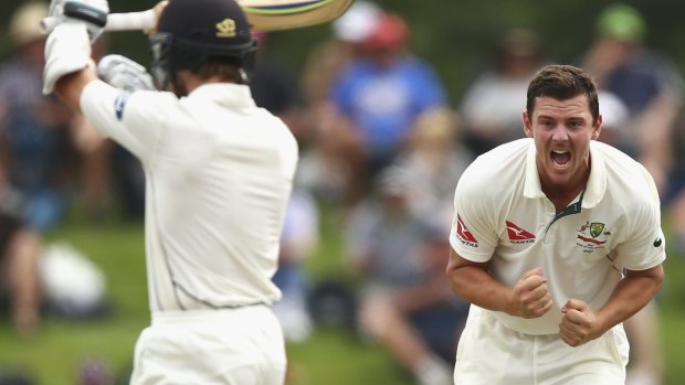 Tempers rising: Josh Hazlewood celebrates after Kane Williamson was initially given out.