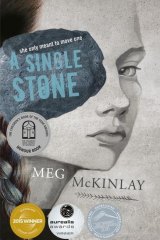<i>A Single Stone</i> by Meg McKinlay.