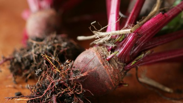 Beetroot.