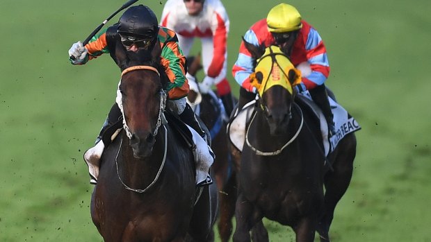 Sense Of Occasion  wins the Doomben Cup.