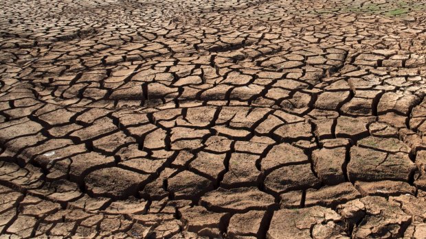 Brisbane had one of its driest summers on record.