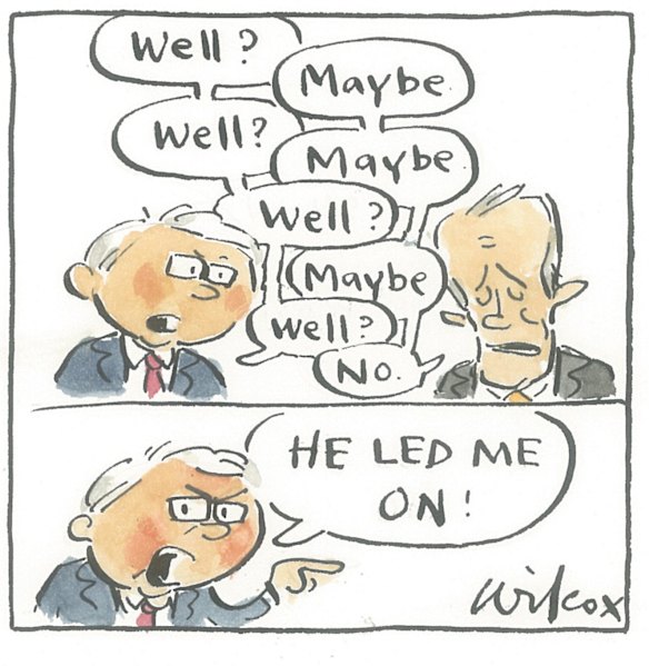 Illustration: Cathy Wilcox