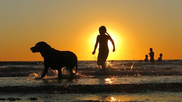 Dog days of summer across much of south-eastern Australia.