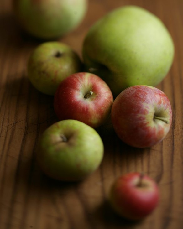 Some heritage apple varieties are being ripped out.