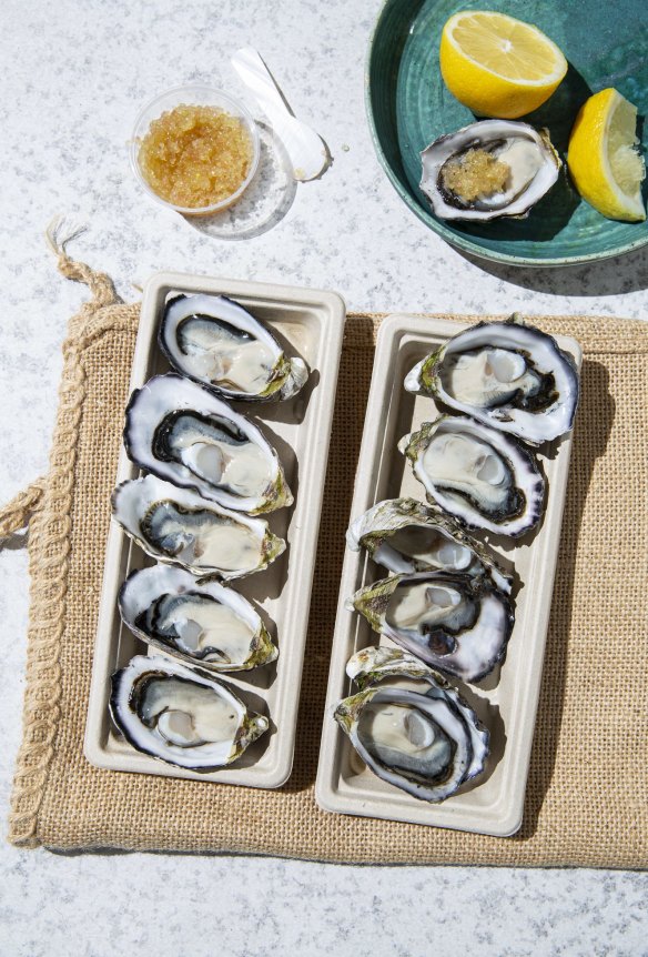 Pacific oysters are at their peak during the colder months.