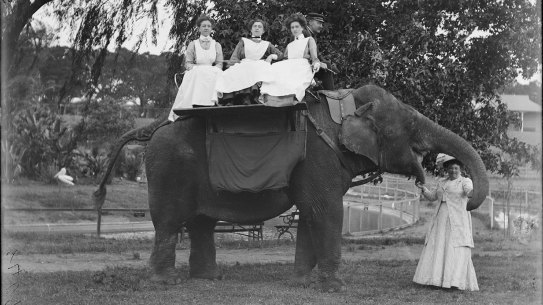 Elephant ride on Jessie at Moore Park Zoological Gardens, date unknown. 
