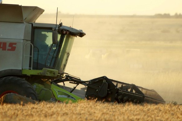 Barley farmers have had a tough year.