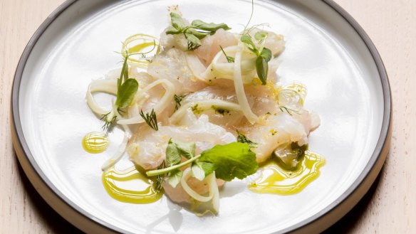 Snapper crudo with pickled fennel.