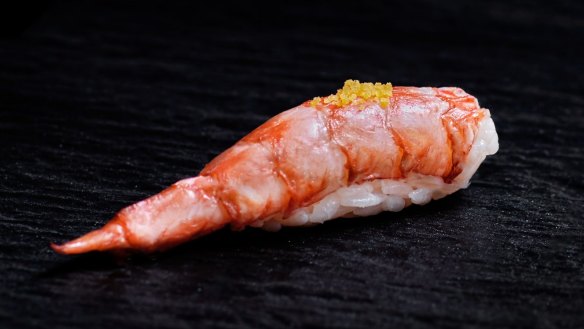 Scarlet prawn nigiri at Minamishima, Richmond.