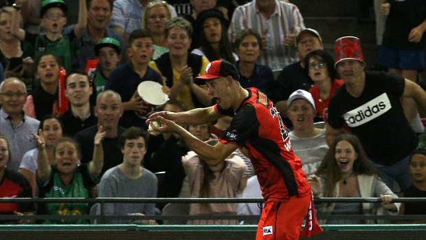 Beau Webster takes a classy catch in the BBL.