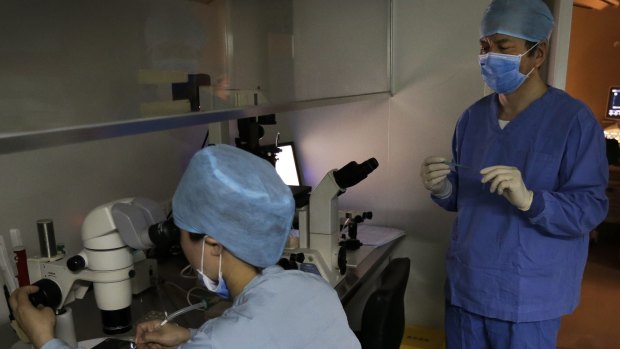 Dr Liu Jiaen, right, watches his staff member work at the microscope at a hospital in Beijing. 
