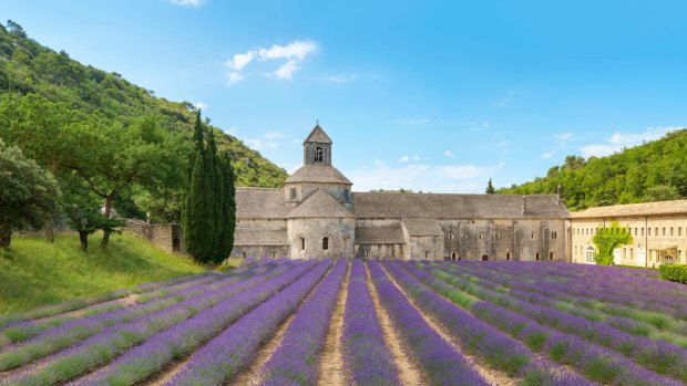 Lavender fields in full bloom in early July in front of Abbaye de Senanque Abbey, Vaucluse, Provence-Alpes-Cote d'Azur, France.
