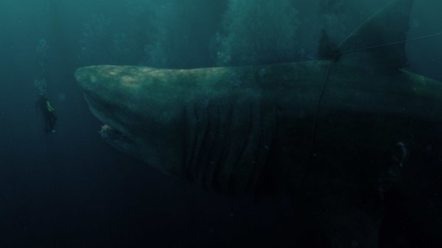 The Meg - Full Cast & Crew - TV Guide