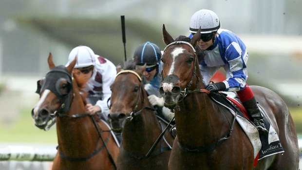 Never give up: Samantha Clenton boots home Howmuchdoyouloveme (right) for his first win in almost two-and-a-half years.