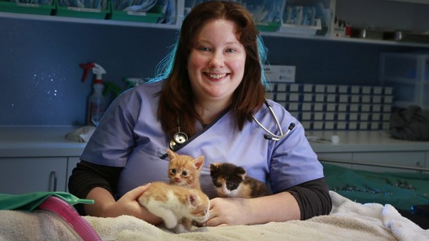Animal CSI: Forensic vet Rebecca Belousoff says being an animal detective can be harrowing: "sometimes you just need to go and hug a kitten."