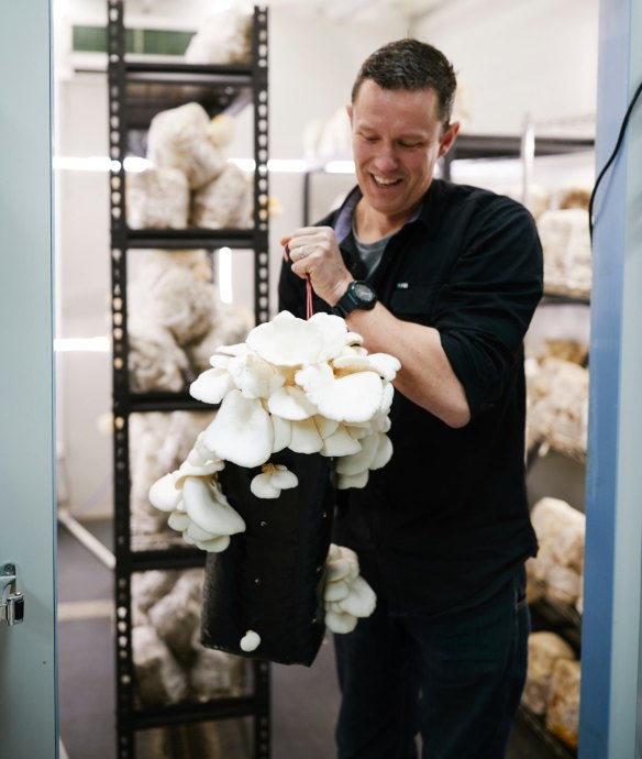 Ryan Sharpley from Benton Rise with some of his mushrooms.