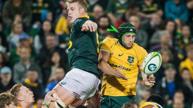 Highs and lows: The Springboks will want to bounce back against Australia after a humiliation handed down by the All Blacks.