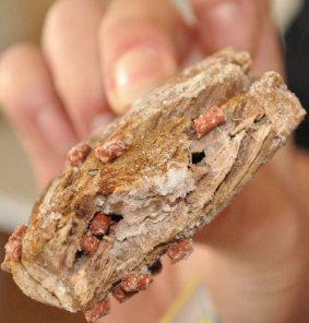 A piece of cooked meat laced with poison pellets, from a similar incident in 2014.