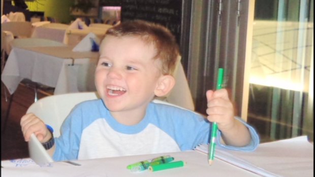 William Tyrrell vanished from his grandmother's Kendall home.