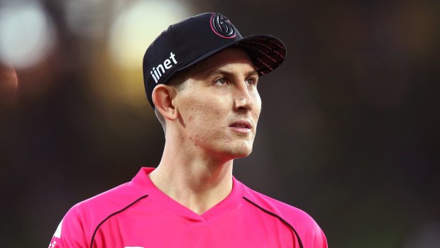 Nic Maddinson has been a positive influence since returning to the Sydney Sixers squad.