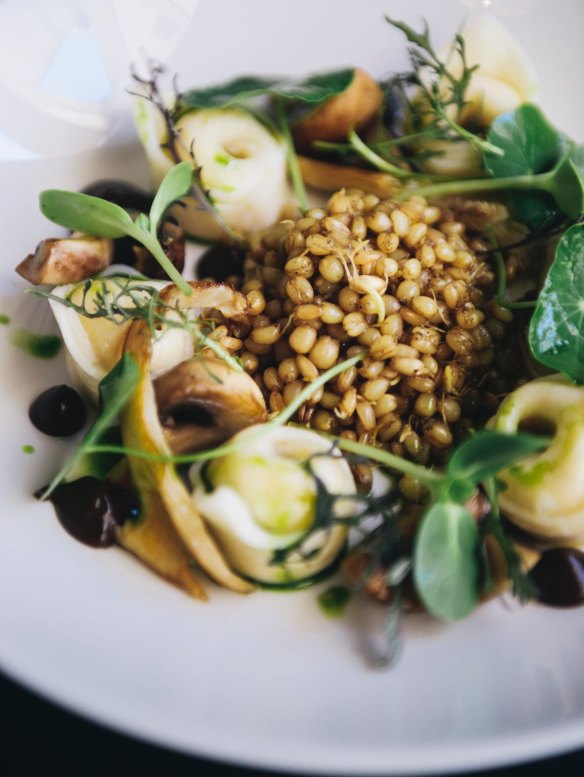 Corn and potato tortellini, black garlic, wheat berries, mushrooms.