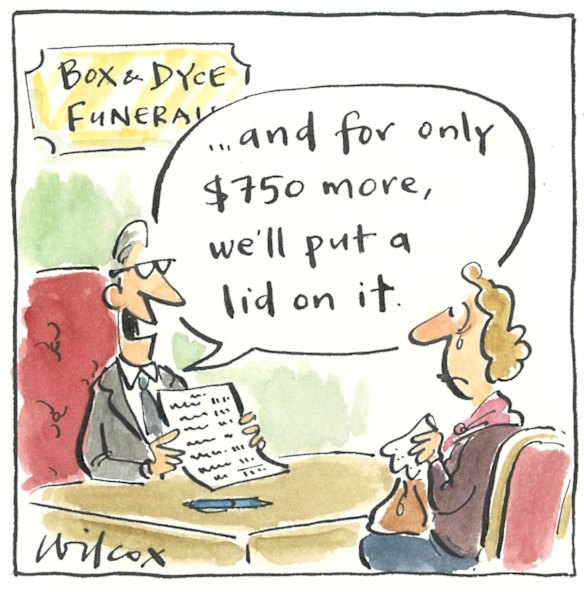 Illustration: Cathy Wilcox