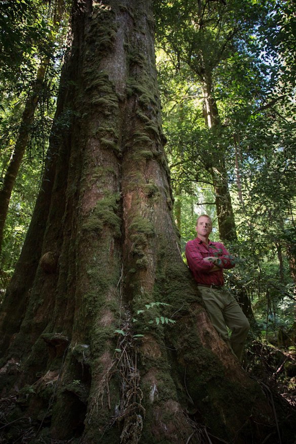 Vica Bayley from  the Wilderness Society, in the Styx Valley in southern Tasmania.