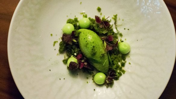 Evergreen with sorrel, lemon basil, mint, shiso and parsley served at LuMi Dining.