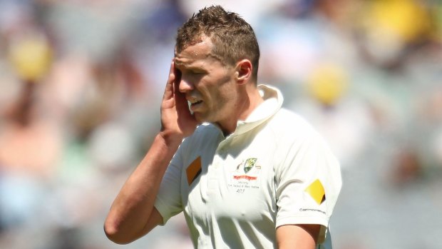 Double injury: Victorian paceman Peter Siddle.