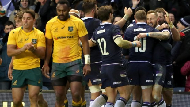 Pleasue and pain: Scotland celebrate their biggest win of the Wallabies.